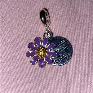 Grandmother theme pandora charm